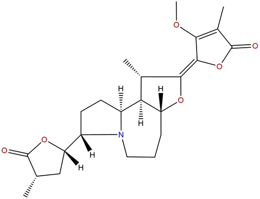 Protostemonine