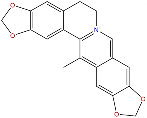 Worenine