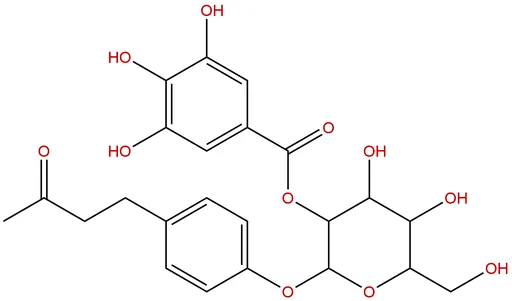 Isolindleyin