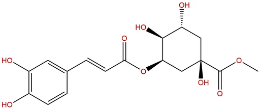 Neochlorogenic acid methyl ester