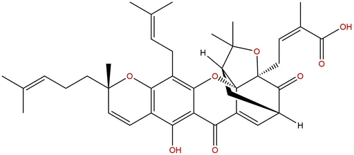 Epigambogic acid