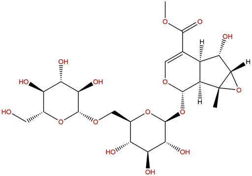 6'-O-β-D-Glucopyranosyl phlorigidoside C