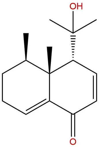 Kanshone A