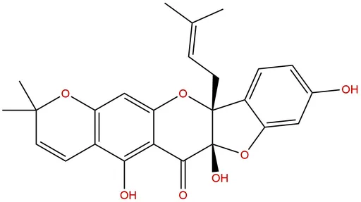 Sanggenon A