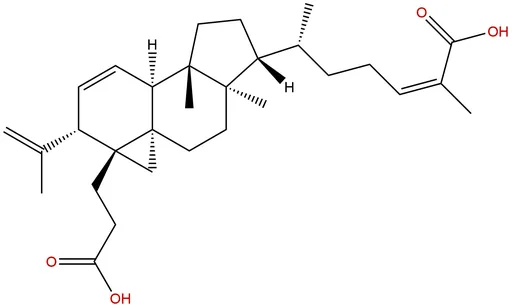 Changnanic acid