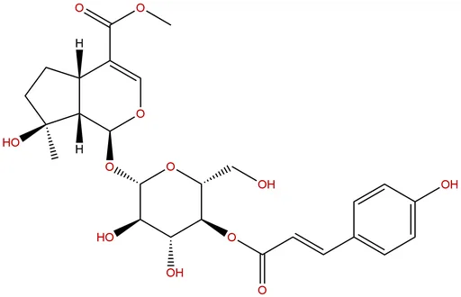 4'-O-trans-p-Coumaroylmussaenoside
