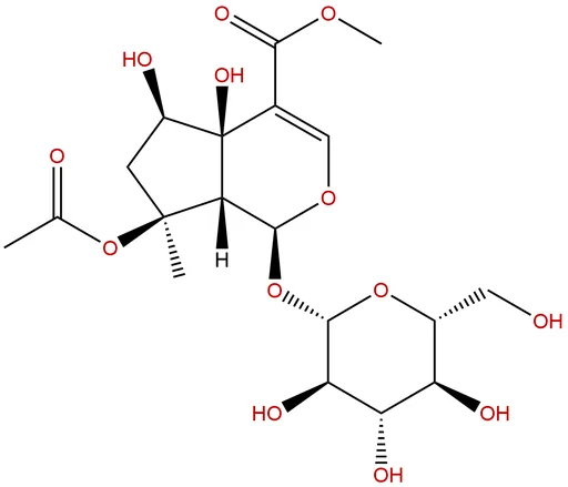 Phlorigidoside B