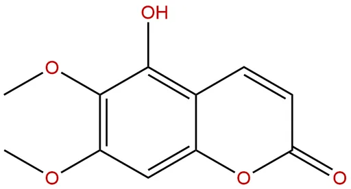 Tomentin