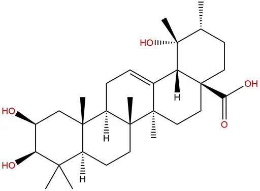 2-Epitormentic acid