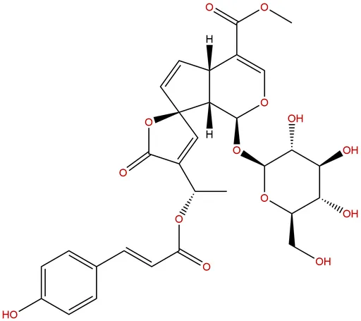13-O-p-Coumaroylplumieride