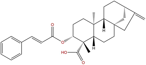 ent-3β-Cinnamoyloxykaur-16-en-19-oic acid
