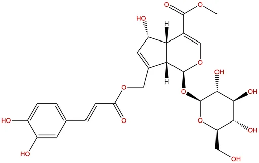 10-O-Caffeoyl-6-epiferetoside