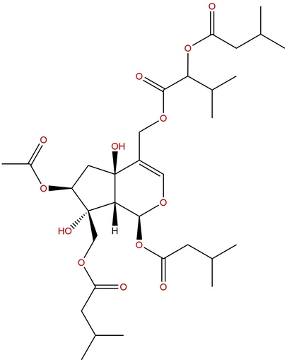 Jatamanvaltrate B
