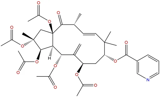 Jatrophane 1