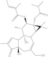 12-O-Tiglylphorbol-13 -isobutyrate