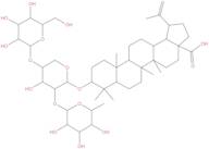 Betulinic acid 3beta-O-alpha-L-rhamnopyranosyl