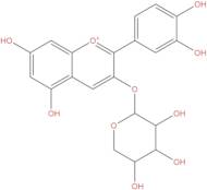 Cyanidin 3-Arabinoside