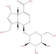 Deacetylasperulosidic acid