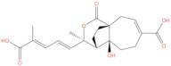 Demethylpseudolaric acid C