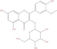 Isorhamnetin-3-O-galactoside