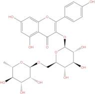 Kaempferol-3-Rutinoside