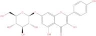 Kaempferol-7-O-beta-D-glucopyranoside