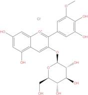 Petunidin 3-Glucoside chloride