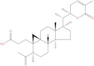 Schisanlactone E