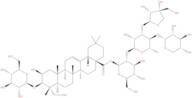 Polygalasaponin V