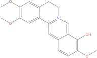 Palmatrubine