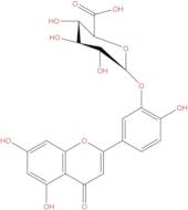 Luteolin-3'-D-glucuronide