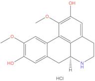 Norboldine hydrochloride