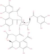 Neochebulagic acid