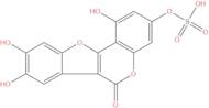 Demethylwedelolactone sulfate