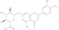 Diosmetin 7-O-β-D-glucuronide