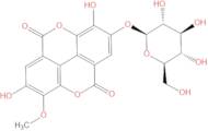 Stachyanthuside A