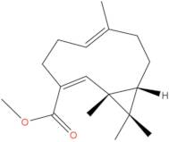 Volvalerenic acid A methyl ether