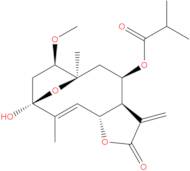 1β-Methoxydiversifolin