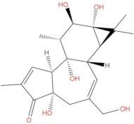 4α-Phorbol