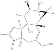 4-Deoxy-4α-phorbol