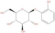 Pyrocatechol Monoglucoside