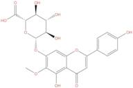 Hispidulin 7-O-glucuronide