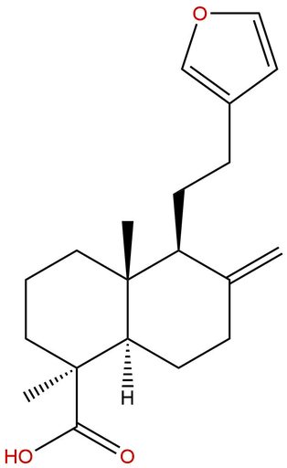 Lambertianic acid