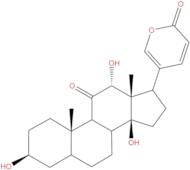 Pseudobufarenogin