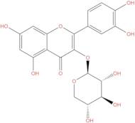 Quercetin 3-O-β-D-xylopyranoside