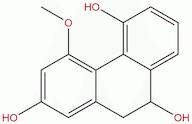 Rotundatin