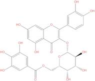 Quercetin 3-O-(6''-galloyl)-beta-D-galactopyranoside