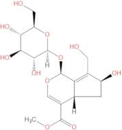 10-Hydroxy majoroside