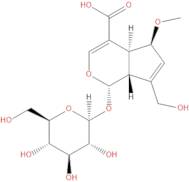 9-epi-6-Methoxygeniposidic acid