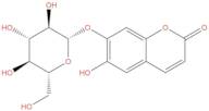 Cichorin